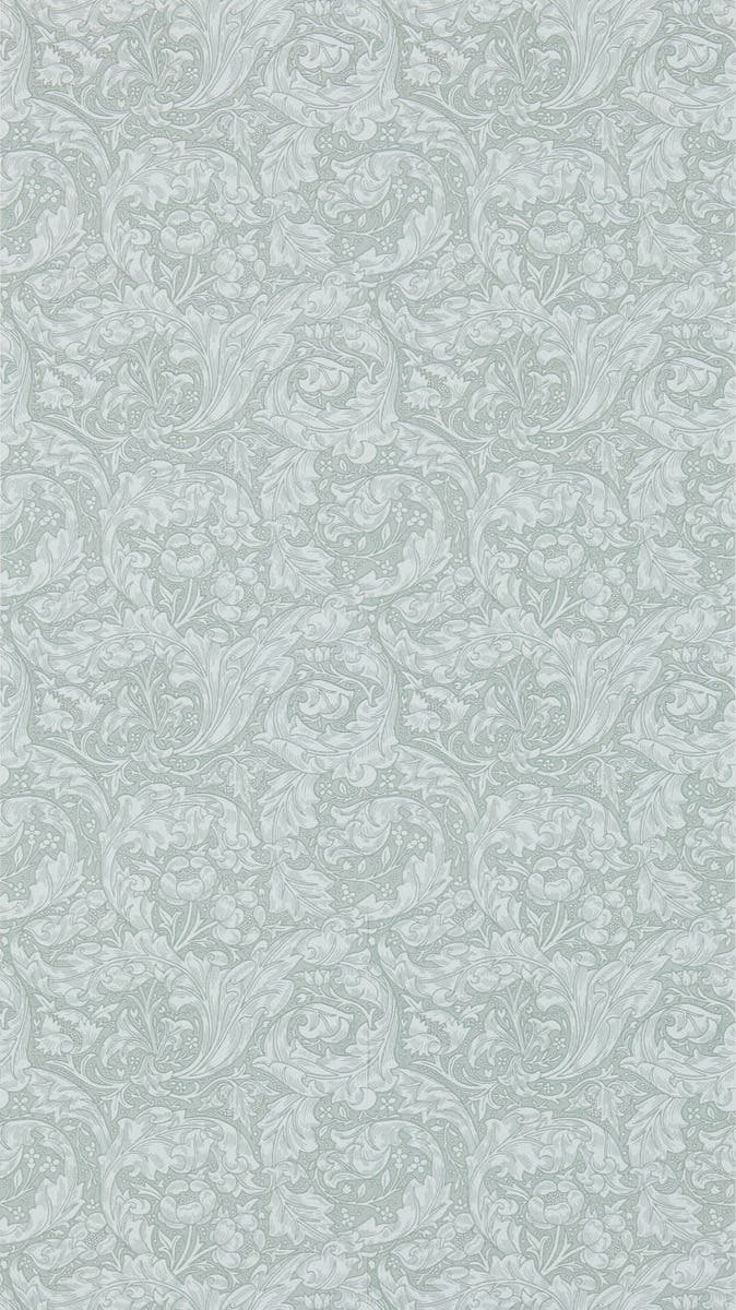 Bachelors Button Silver Morris 160th Anniversary