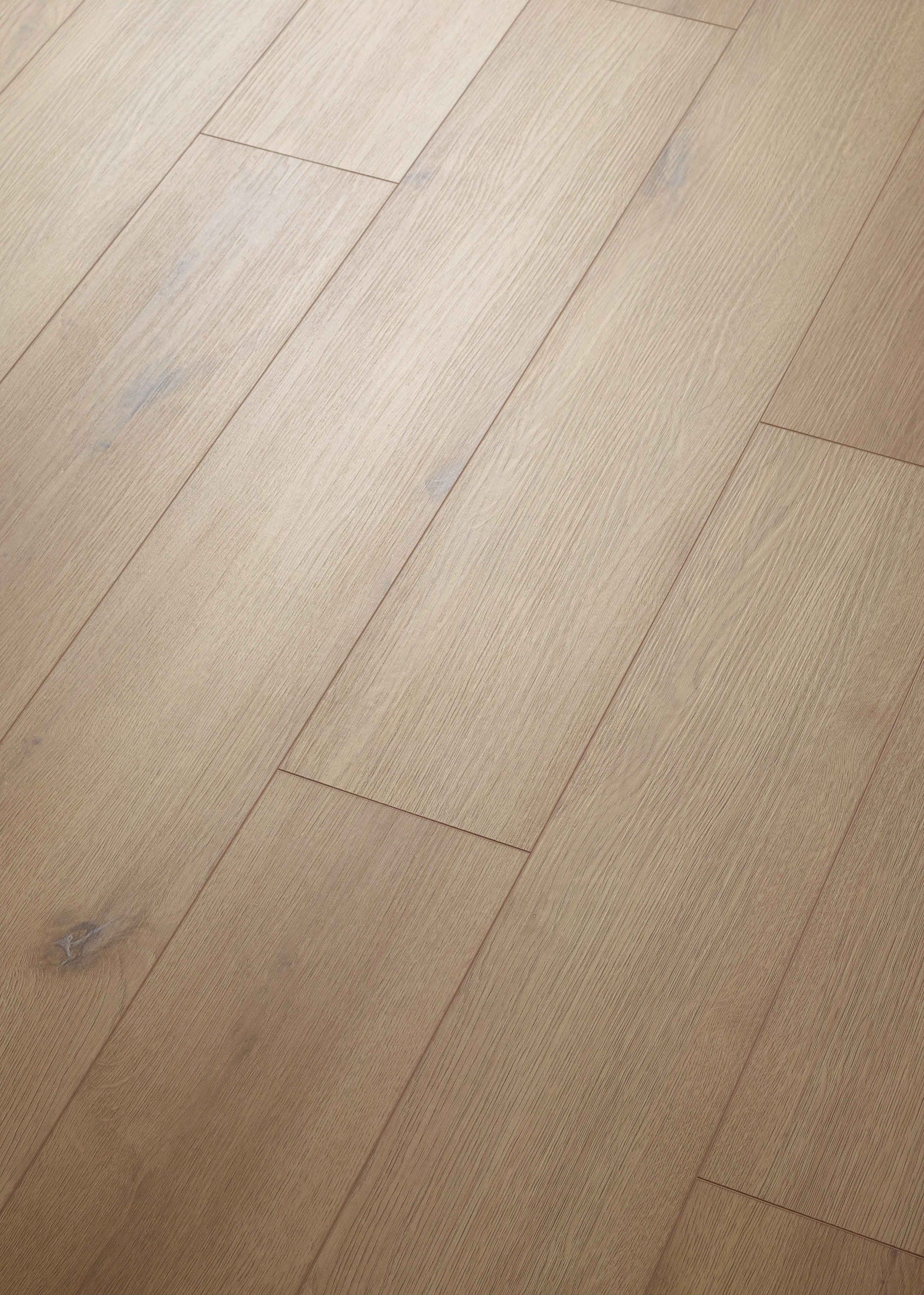 Metropol | ProPlus 1500 Series