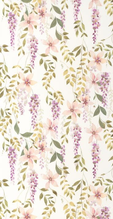 WISTERIA PARME / VERT MOU SOLIFLORE