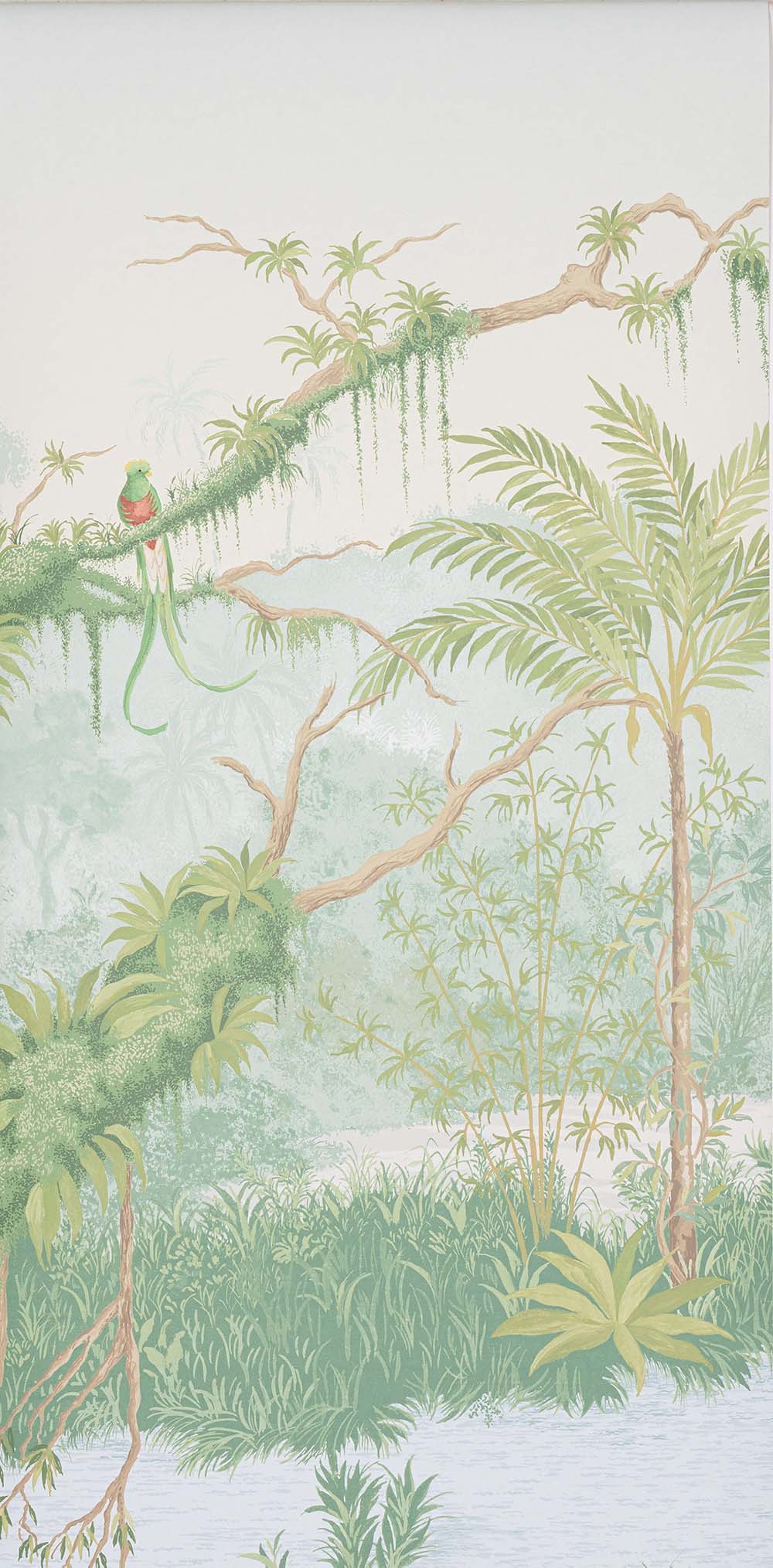 Manuel Canovas - Borneo Printemps