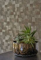 DURA NOIR REGLISSE BABYLONE CAD