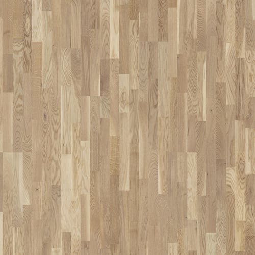 Shade | Ek Cream White Tres