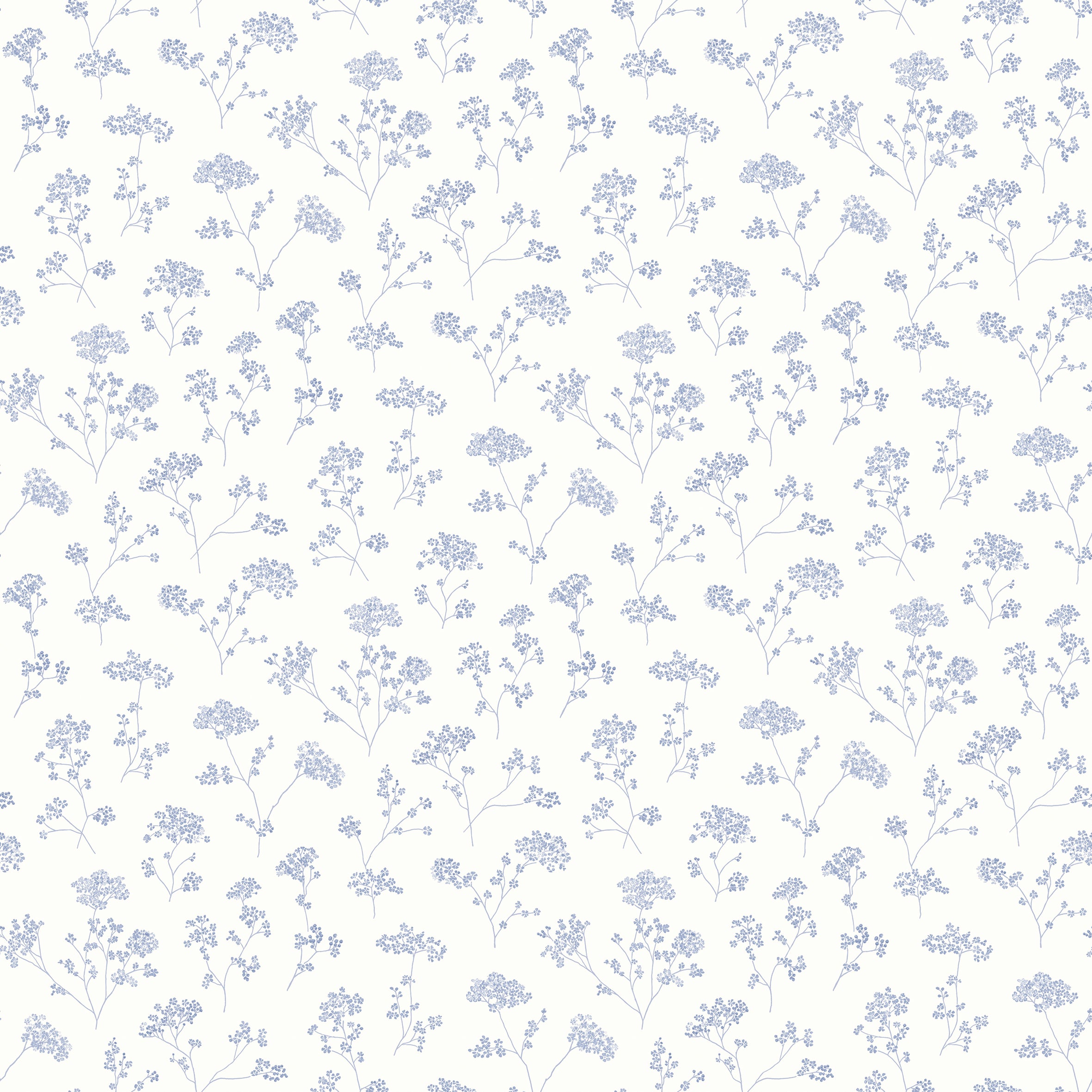 Meadow Sweet