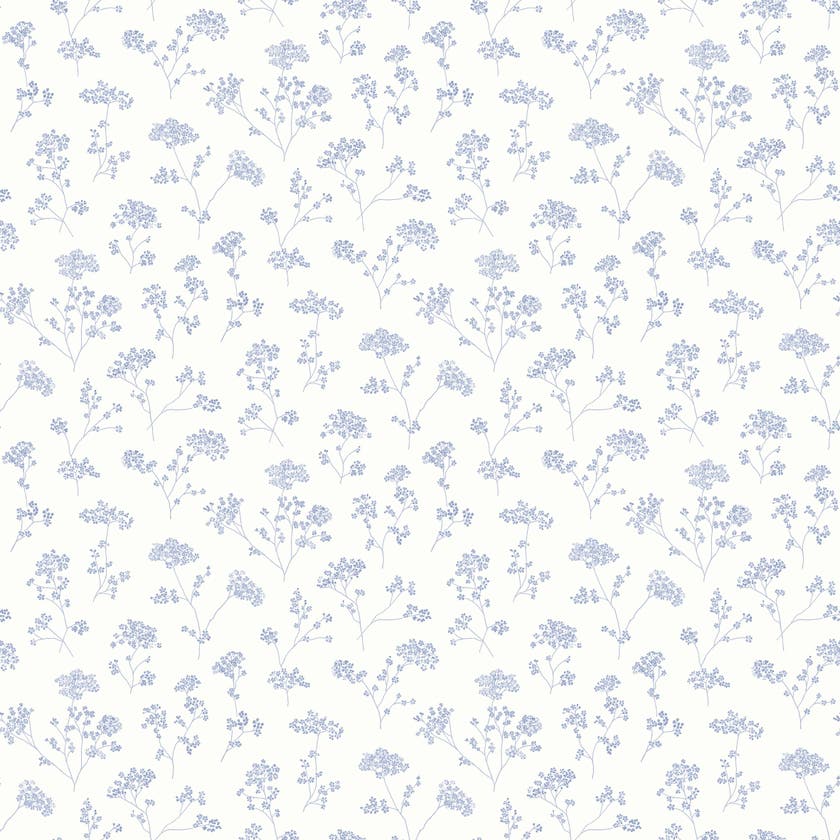 Meadow Sweet