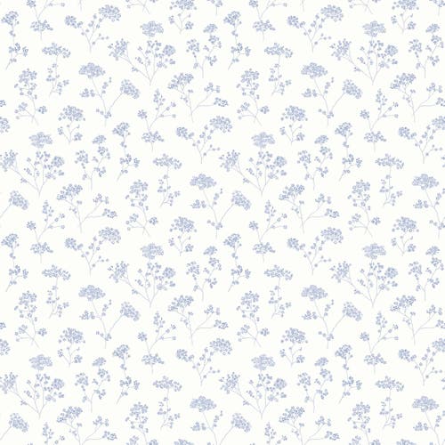 Meadow Sweet