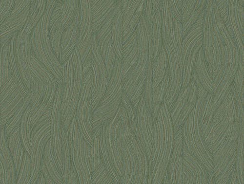 Casamance - Jassine Cyprès Select 9