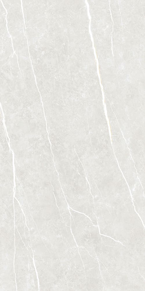 Glaciär Silver 60x120 såg