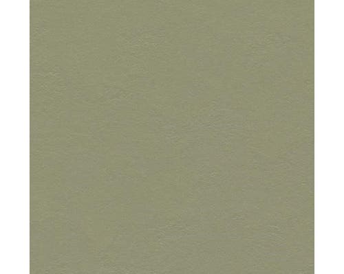 Marmoleum Click Rosemary green 30 x 30 cm