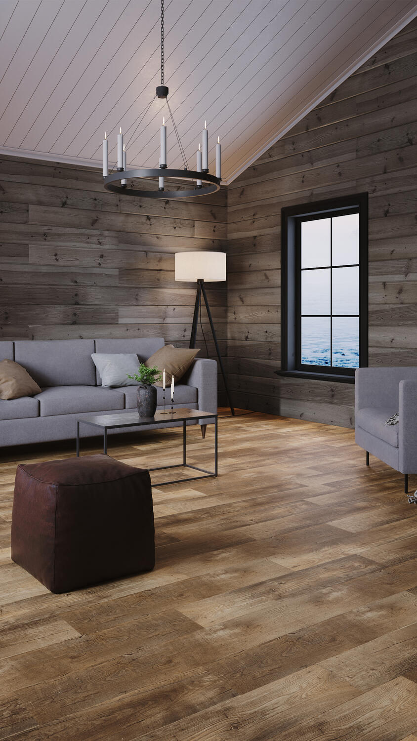 Flanders, Dark Brown 4m bred | Iconik T-Extra