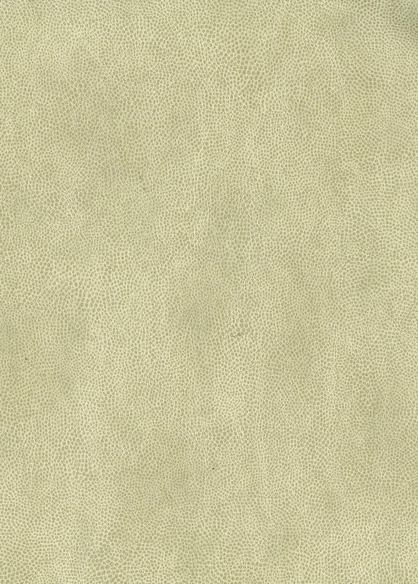 Osborne & Little - Mako