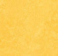 Marmoleum Click Lemon zest 30 x 30 cm