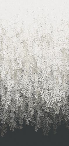 Zoffany - Tyndall Vine Black Kensington Walk Wallpaper