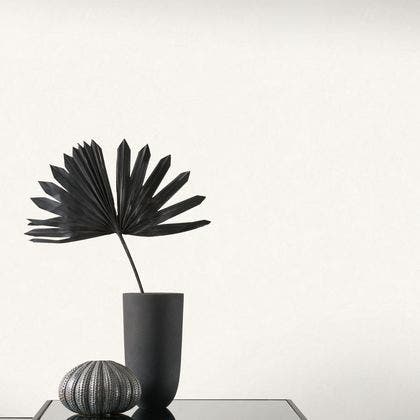 Casadeco - Cotton Touch Beige So Color 5