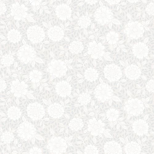 Lizette - Midbec Skogsgläntan