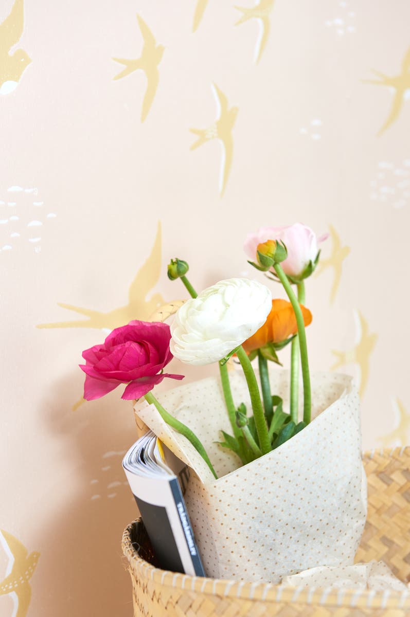 Majvillan - Follow the wind Wish upon your dreams