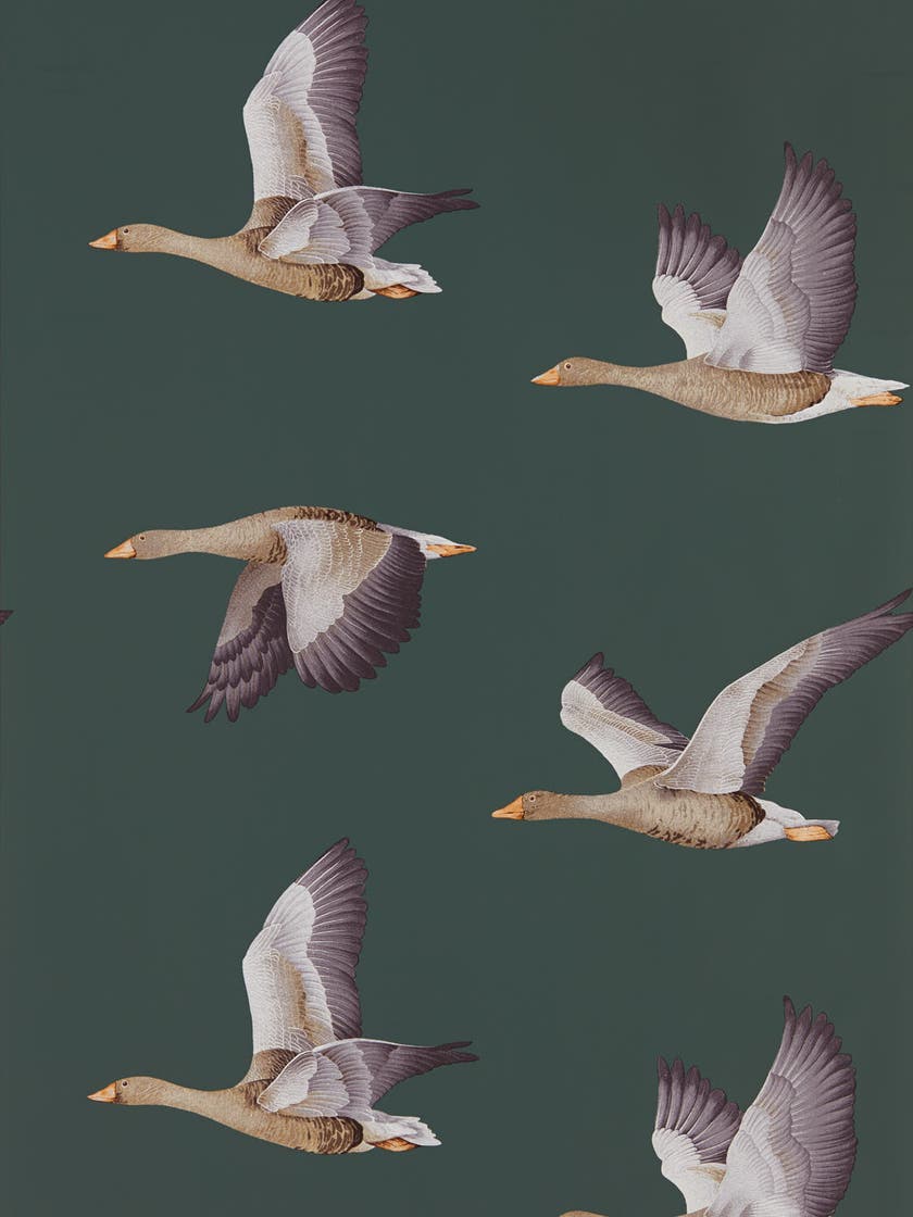 Sanderson - Elysian Geese Amsterdam G Arboretum Wallpapers