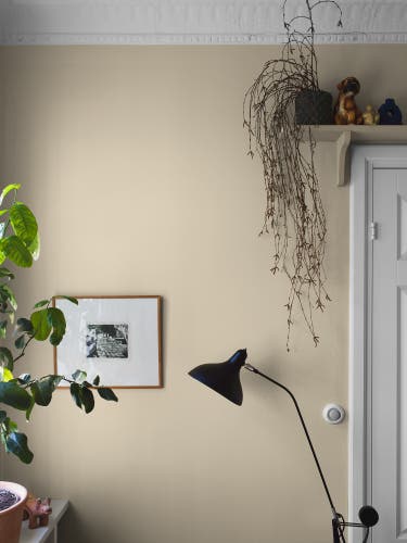 Boråstapeter - Sorbet Yellow