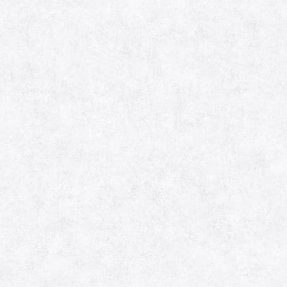 Caselio - Beton Uni Gris Clair Beton 2