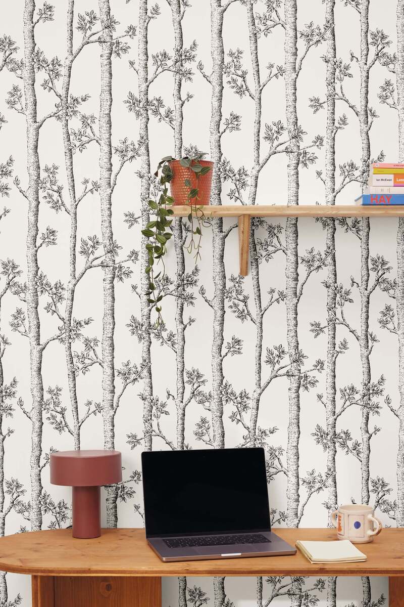 AUTOMNE BLANC BALADE