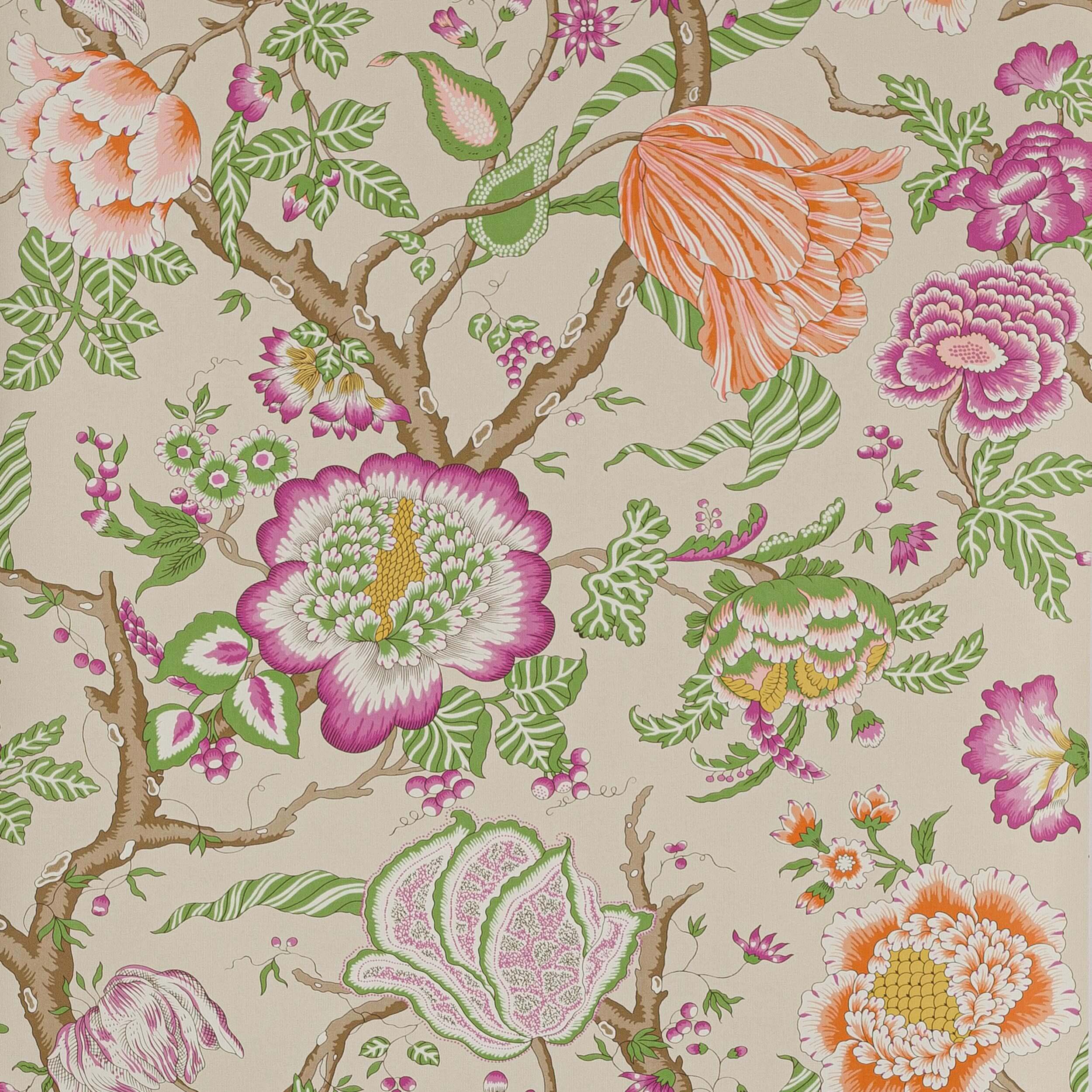 Manuel Canovas - Brahmane Pivoine