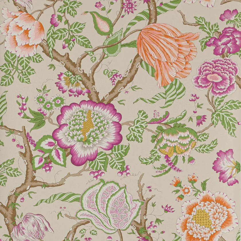 Manuel Canovas - Brahmane Pivoine