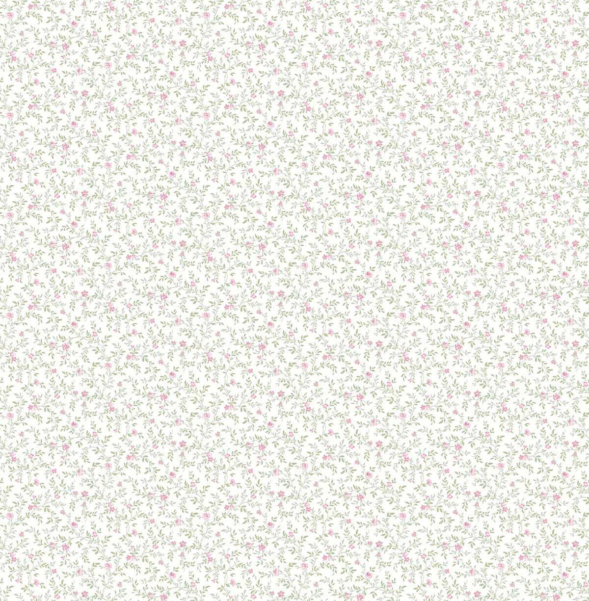 Carma - Alice & Rose