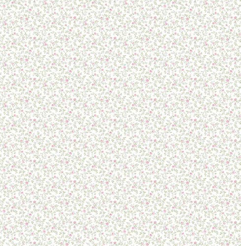 Carma - Alice & Rose