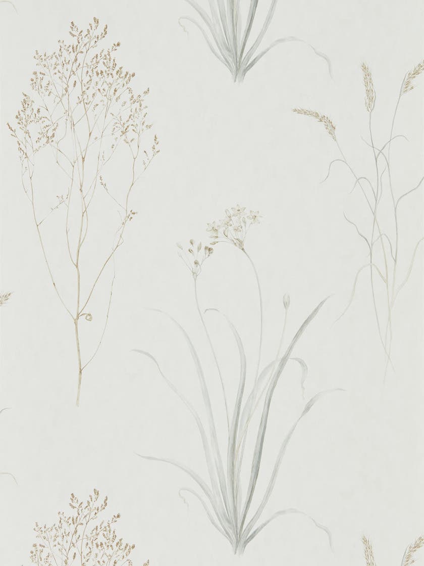 Farne Grasses Silver/Ivor Embleton Bay Wallpapers