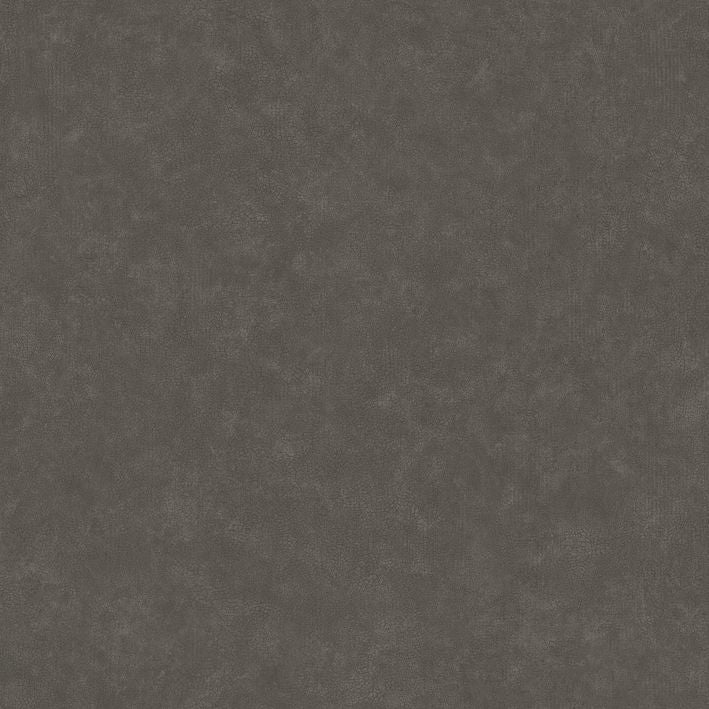 Caselio - Uni Mat Terre Cendree Ceramique