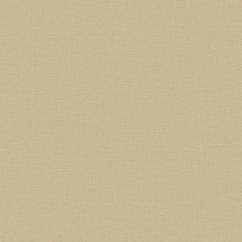 Casamance - Lina Tilleul Modernismo