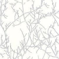 MYTHE NOIR GRAVURE VOYAGE ONIRIQUE