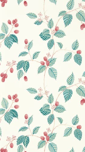 Sanderson - Rubus Raspberry Arboretum Wallpapers