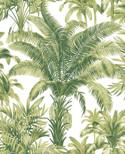 Carma - Charleston CN30704