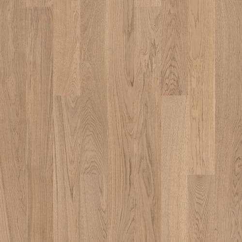 Shade | Ek Misty Grey Plank XT