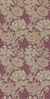 Chrysanthemum Wine Archive II Wallpapers