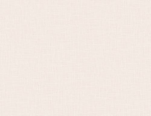 Intrade - Boho Rhapsody