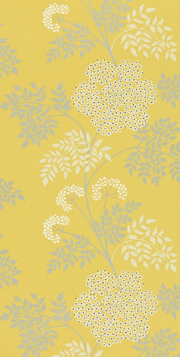 Sanderson - Cowparsley Chinese Yellow Sanderson One Sixty Wallp
