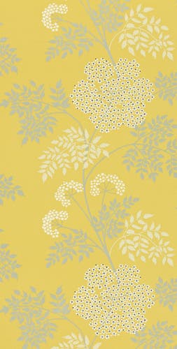 Sanderson - Cowparsley Chinese Yellow Sanderson One Sixty Wallp