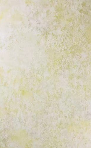 Osborne & Little - Fresco Lemon