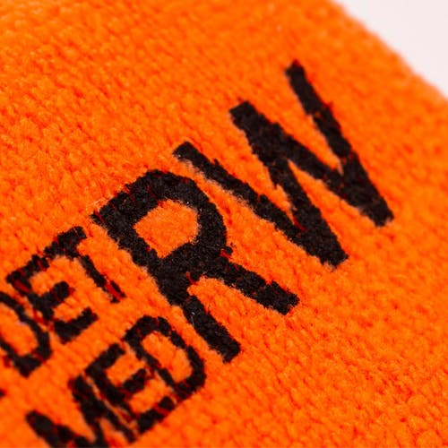 Renngöringssvamp RW