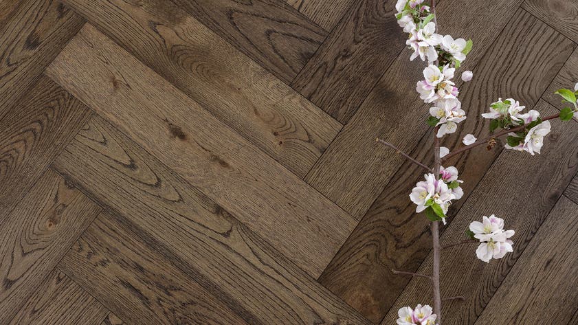 Segno | Ek Old Brown