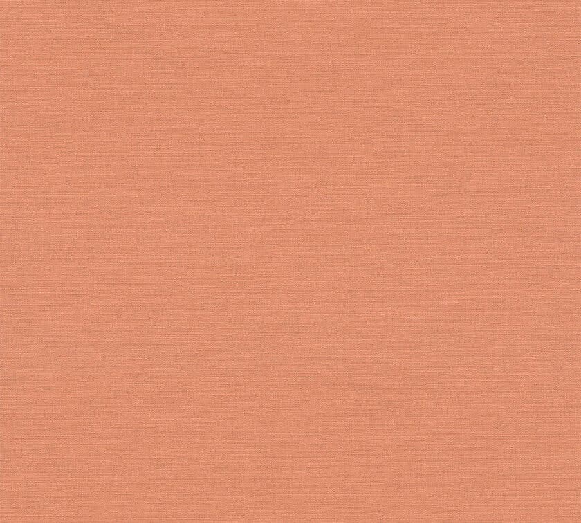 Palette