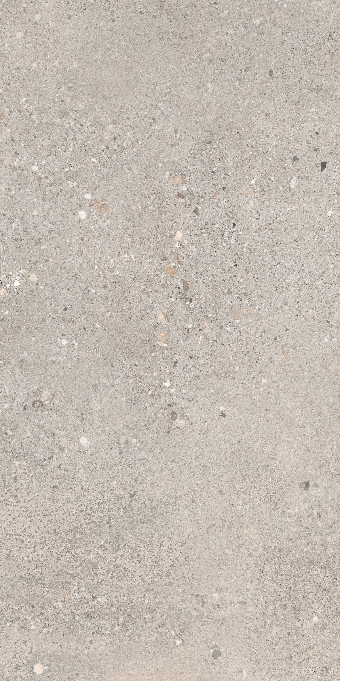 Cortina Grey 30x60 såg