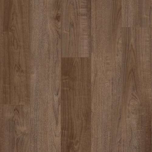 Kingdom | ProPlus 1500 Series