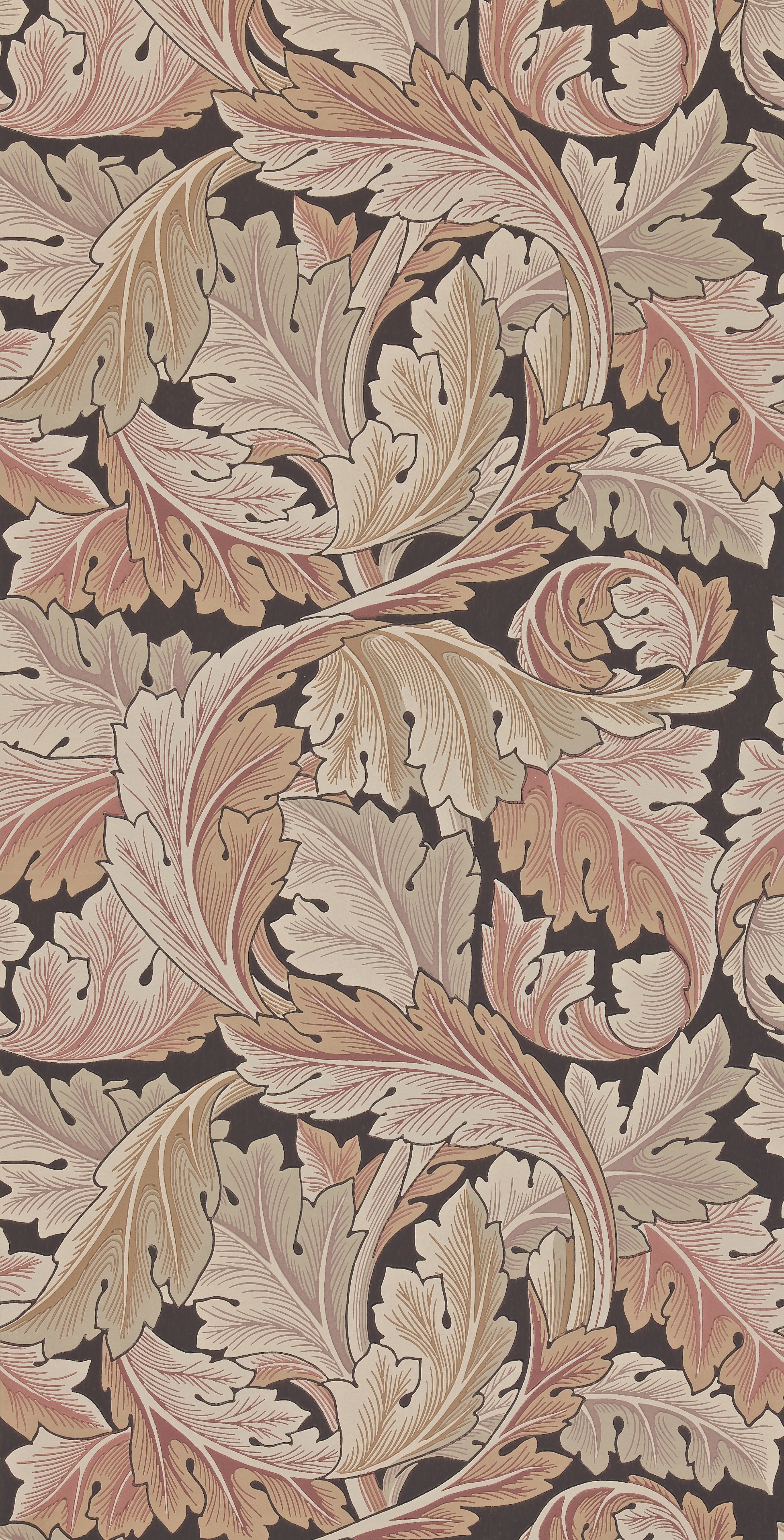 Morris & Co - Acanthus Terracotta Archive II Wallpapers