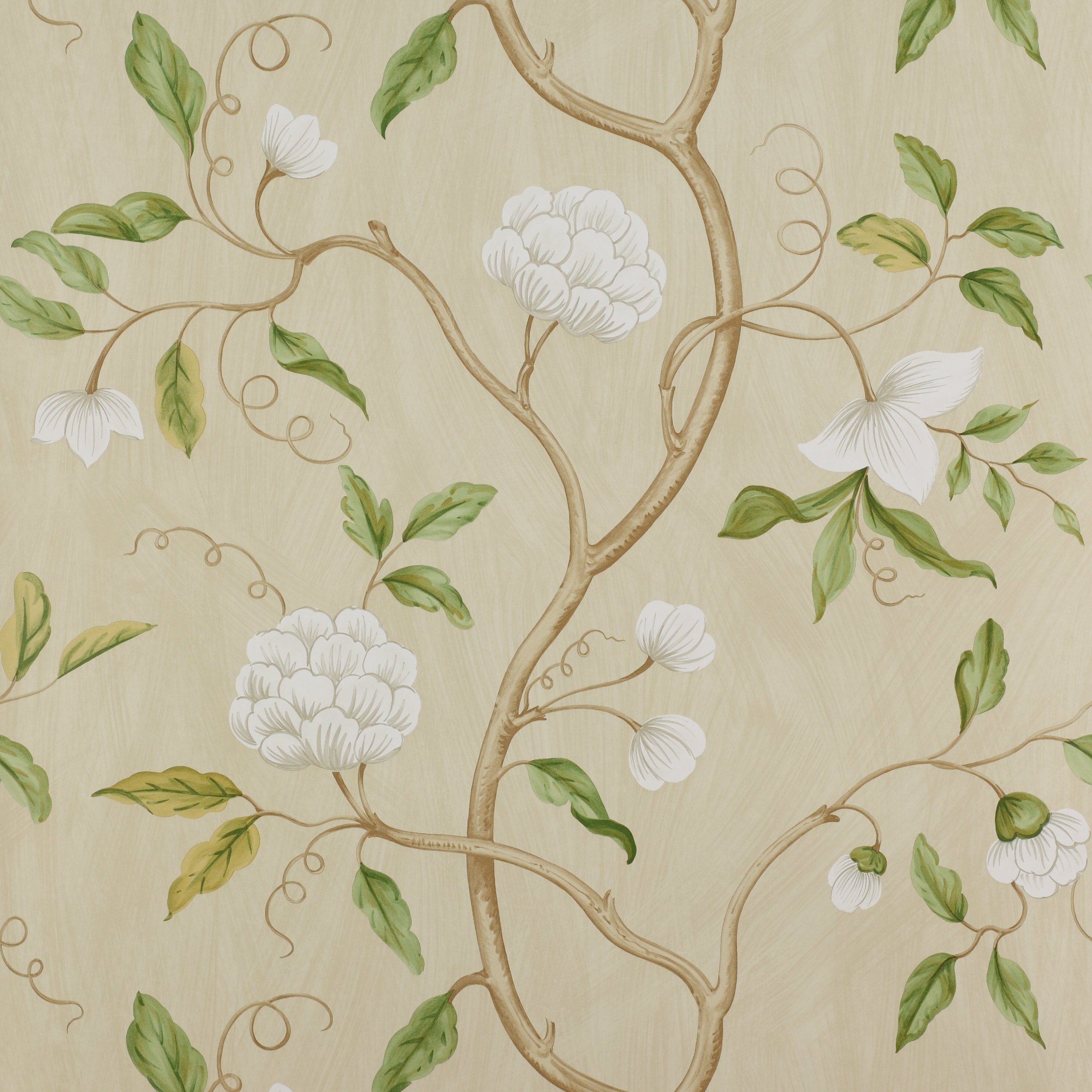 Colefax and Fowler - Snow Tree Cream