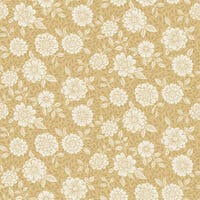 Lizette - Midbec Skogsgläntan