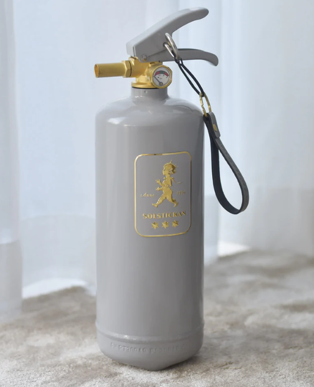 Brandsläckare 2 kg Grå/Guld