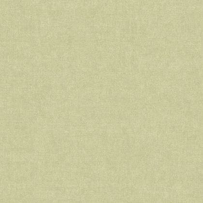 EMPREINTE VERT THE SO COLOR 5