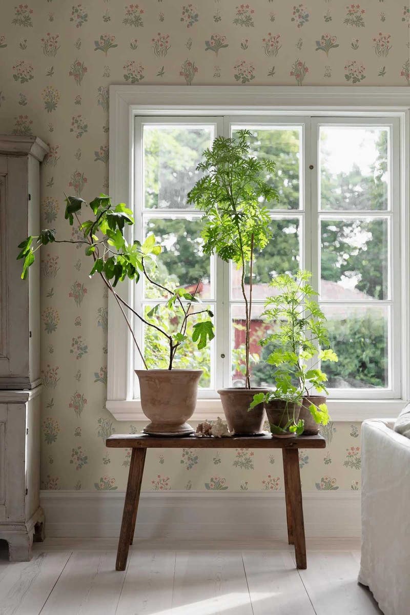 Boråstapeter - Ängsflora